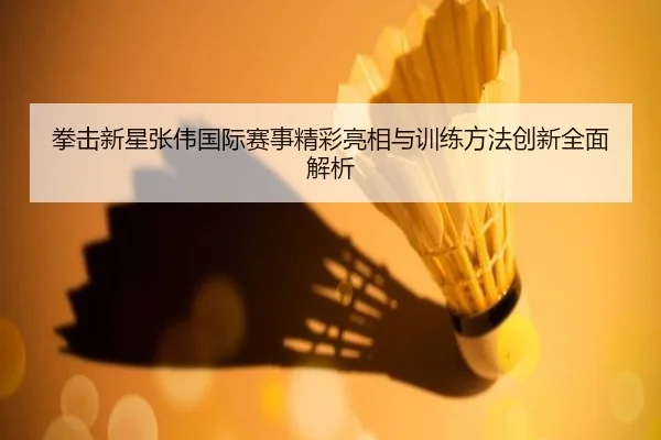 拳击新星张伟国际赛事精彩亮相与训练方法创新全面解析